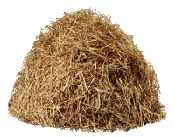Looking for the right haystack