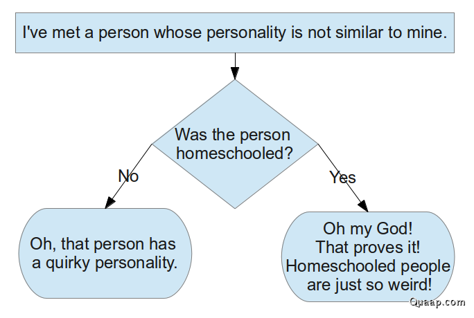 flowchart of homeschool stereotypes