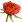 rose (f)